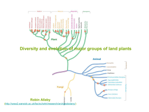 Diversity and evolution of major groups of land plants Robin Allaby (
