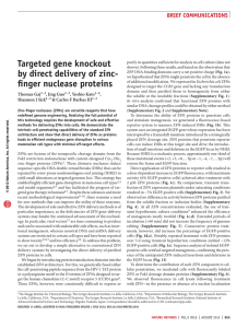 targeted gene knockout brief communications