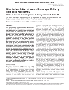Directed evolution of recombinase specificity by split gene reassembly