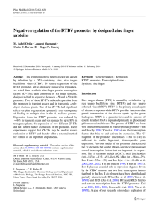Negative regulation of the RTBV promoter by designed zinc finger proteins
