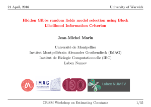Hidden Gibbs random fields model selection using Block Likelihood Information Criterion Universit´