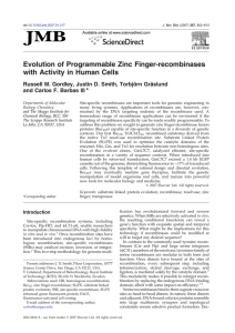 Evolution of Programmable Zinc Finger-recombinases with Activity in Human Cells ⁎