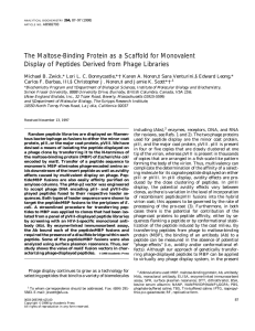 The Maltose-Binding Protein as a Scaffold for Monovalent