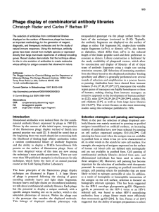 Phage  display  of  combinatorial  antibody ... Christoph Rader  and  Carlos  F  Barbas ...