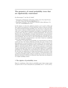 The geometry of causal probability trees that are algebraically constrained Eva Riccomagno