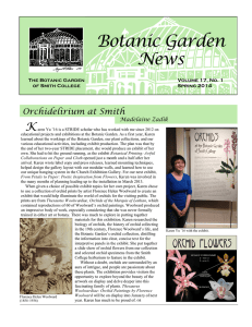 Botanic Garden News K Orchidelirium at Smith