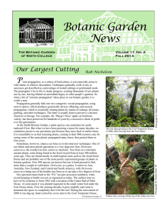 Botanic Garden News P Our Largest Cutting