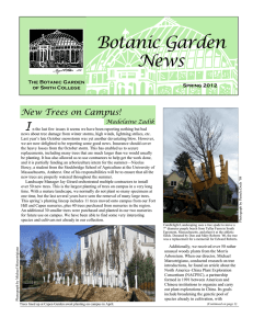 Botanic Garden News I New Trees on Campus!