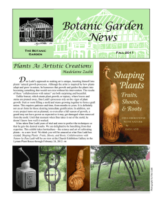 Botanic Garden News D Plants As Artistic Creations