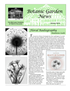 Botanic Garden News E Floral Radiography