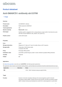 Anti-SMARCD1 antibody ab123788 Product datasheet 1 Image Overview