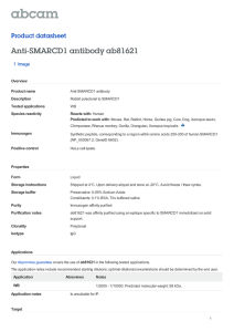 Anti-SMARCD1 antibody ab81621 Product datasheet 1 Image