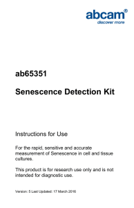 ab65351 Senescence Detection Kit Instructions for Use