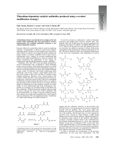 Thiazolium-dependent catalytic antibodies produced using a covalent modification strategy†