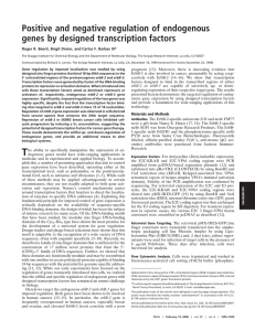 Positive and negative regulation of endogenous genes by designed transcription factors