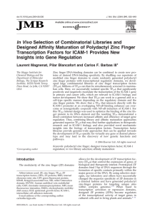 In Vivo Selection of Combinatorial Libraries and