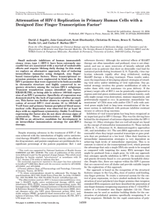 Attenuation of HIV-1 Replication in Primary Human Cells with a