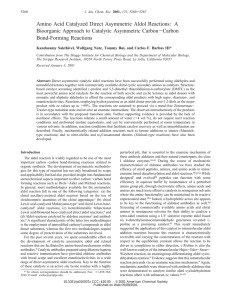 Amino Acid Catalyzed Direct Asymmetric Aldol Reactions: A