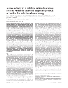 In vivo activity in a catalytic antibody-prodrug activation for selective chemotherapy