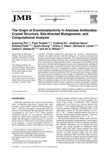 The Origin of Enantioselectivity in Aldolase Antibodies: