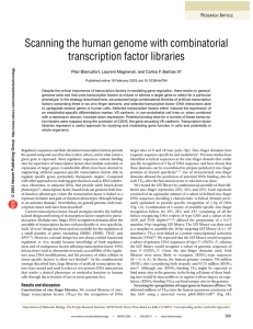 Scanning the human genome with combinatorial transcription factor libraries R A