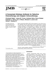 A Humanized Aldolase Antibody for Selective Chemotherapy and Adaptor Immunotherapy