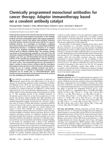 Chemically programmed monoclonal antibodies for cancer therapy: Adaptor immunotherapy based