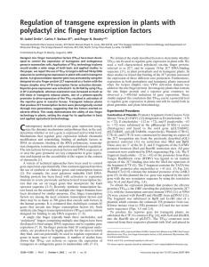 Regulation of transgene expression in plants with