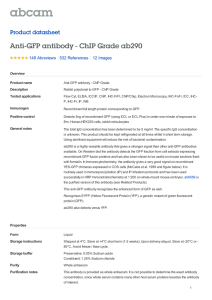 Anti-GFP antibody - ChIP Grade ab290 Product datasheet 148 Abreviews 12 Images