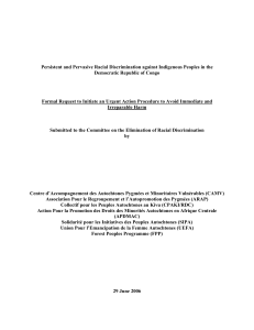 Persistent and Pervasive Racial Discrimination against Indigenous Peoples in the