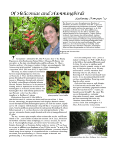 Of Heliconias and Hummingbirds Katherine Thompson ’07
