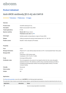 Anti-iNOS antibody [K13-A] ab136918 Product datasheet 7 Abreviews 3 Images