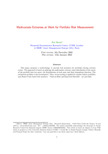 Multivariate Extremes at Work for Portfolio Risk Measurement Eric Bouyé