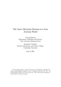 The Asset Allocation Decision in a Loss Aversion World
