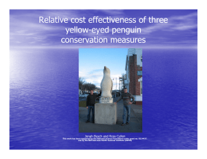 Relative cost effectiveness of three yellow-eyed penguin conservation measures