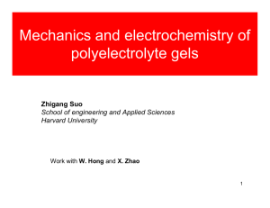 Mechanics and electrochemistry of polyelectrolyte gels Zhigang Suo
