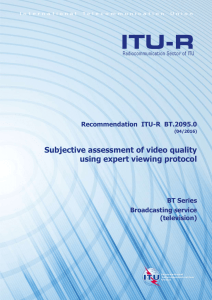 Subjective assessment of video quality using expert viewing protocol