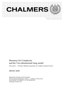 Measures for Complexity and the Two-dimensional Ising model MINSU KIM