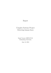 Report Complex Systems Project Detecting human faces Sergii Voronov 890725-P113