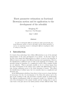 Hurst parameter estimation on fractional development of the zebrafish