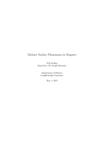 Distinct Surface Phenomena in Magnets Neil Jenkins Supervisor: Dr Joseph Betouras