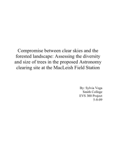 Compromise between clear skies and the forested landscape: Assessing the diversity