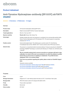 Anti-Tyrosine Hydroxylase antibody [EP1533Y] ab75875