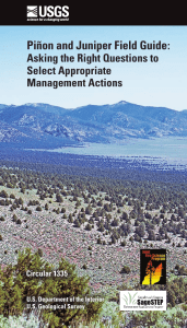 Piñon and Juniper Field Guide : Asking the Right Questions to Select Appropriate