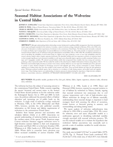 Seasonal Habitat Associations of the Wolverine in Central Idaho Special Section: Wolverine