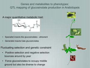 Genes and metabolites to phenotypes: A major quantitative metabolic trait: