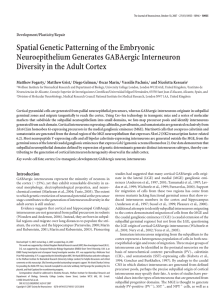 Spatial Genetic Patterning of the Embryonic Neuroepithelium Generates GABAergic Interneuron