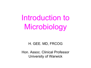 Introduction to Microbiology H. GEE. MD, FRCOG Hon. Assoc. Clinical Professor