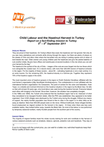 Child Labour and the Hazelnut Harvest in Turkey 5