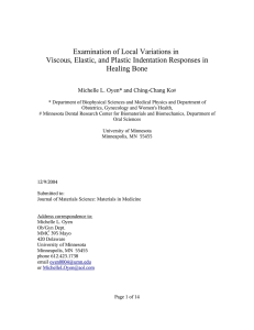 Examination of Local Variations in Healing Bone